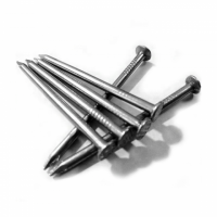 Hot Dipped Galvanized Flat Head Common Nails Iron Large Electro Galvanized Iron Spike Wire Steel Nails